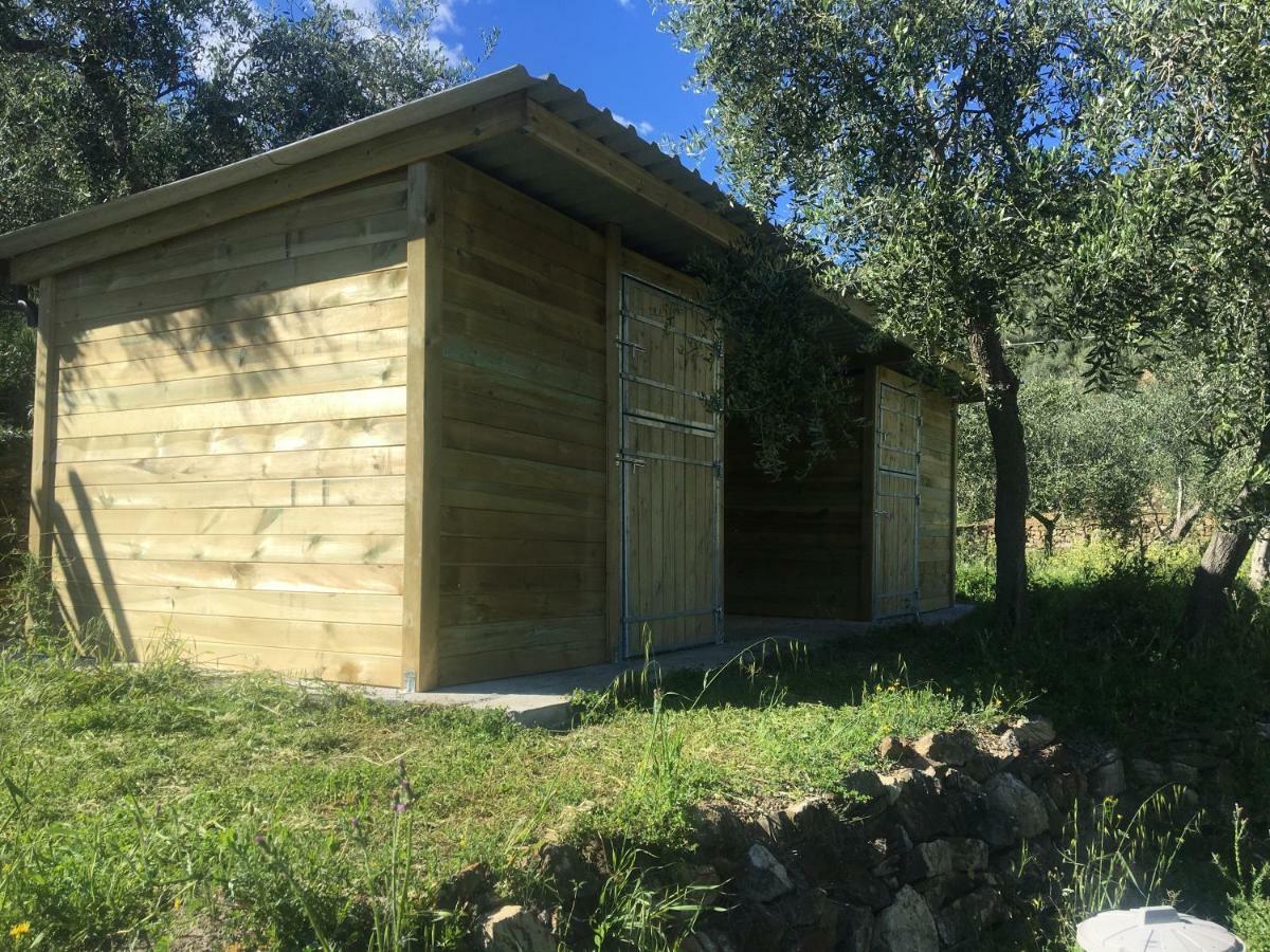 Agriturismo Oltrealmare Civezza Exterior foto